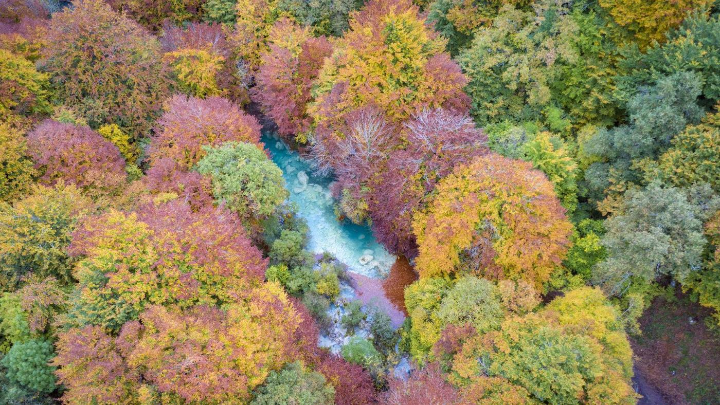 Avec qui avez-vous prévu votre prochain voyage en Navarre ?